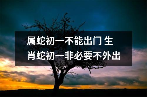 属蛇初一不能出门生肖蛇初一非必要不外出