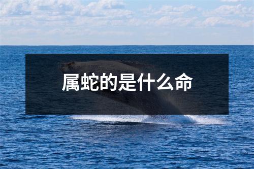 属蛇的是什么命