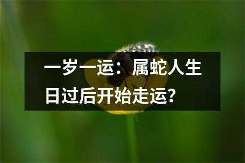一岁一运：属蛇人生日过后开始走运？