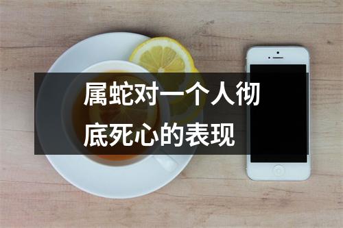 属蛇对一个人彻底死心的表现