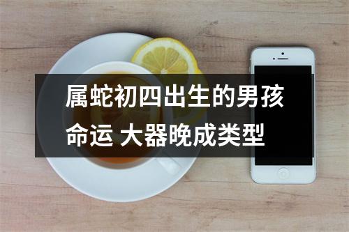 属蛇初四出生的男孩命运大器晚成类型