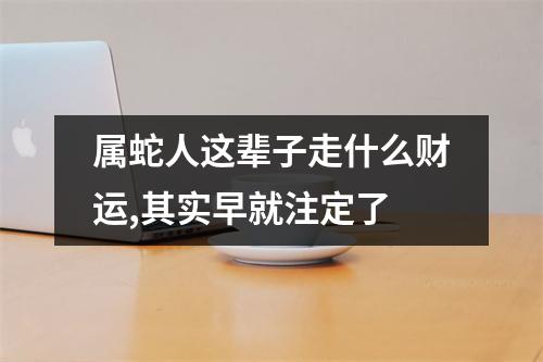 <h3>属蛇人这辈子走什么财运,其实早就注定了