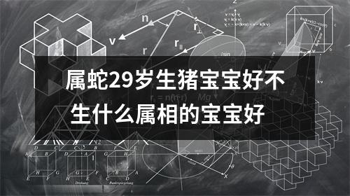 属蛇29岁生猪宝宝好不生什么属相的宝宝好