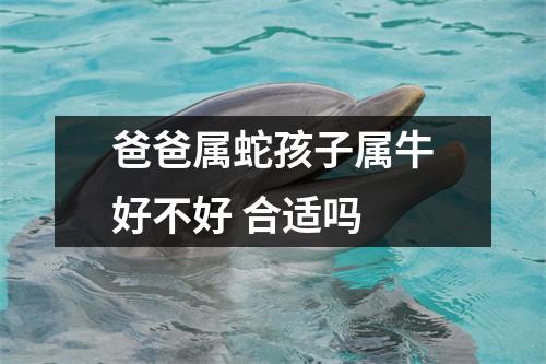 爸爸属蛇孩子属牛好不好合适吗