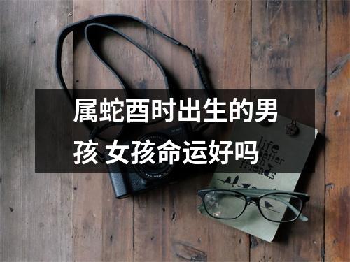 属蛇酉时出生的男孩女孩命运好吗