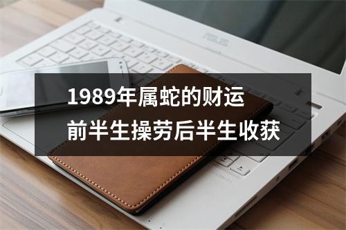 1989年属蛇的财运前半生操劳后半生收获