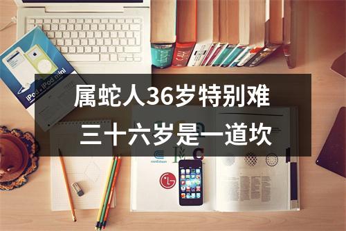 属蛇人36岁特别难三十六岁是一道坎