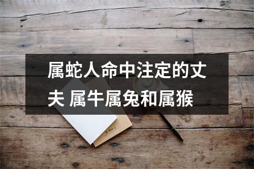 属蛇人命中注定的丈夫属牛属兔和属猴