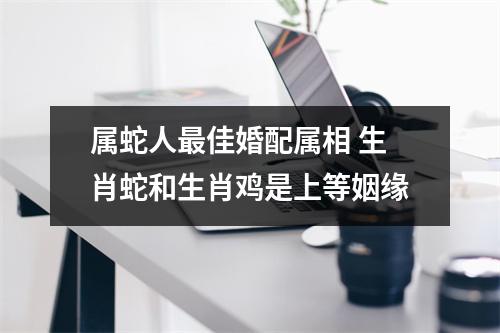 属蛇人佳婚配属相生肖蛇和生肖鸡是上等姻缘