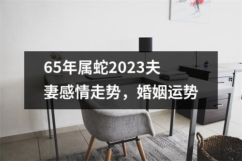 <h3>65年属蛇2025夫妻感情走势，婚姻运势