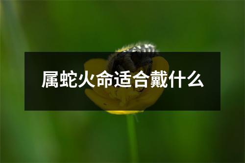 属蛇火命适合戴什么