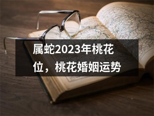 属蛇2025年桃花位，桃花婚姻运势