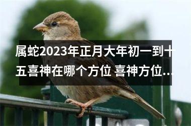 属蛇2025年正月大年初一到十五喜神在哪个方位 喜神方位怎么找