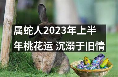 <h3>属蛇人2025年上半年桃花运 沉溺于旧情