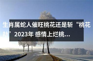生肖属蛇人催旺桃花还是斩“桃花劫”2025年 感情上烂桃花化解
