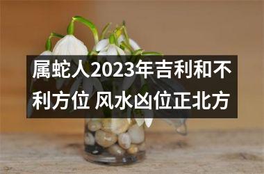 属蛇人2025年吉利和不利方位 风水凶位正北方