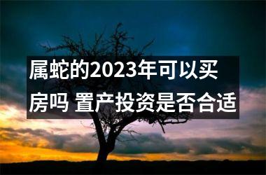 属蛇的2025年可以买房吗 置产投资是否合适