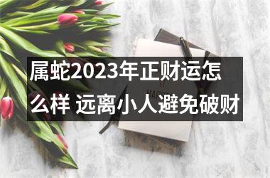 <h3>属蛇2025年正财运怎么样 远离小人避免破财