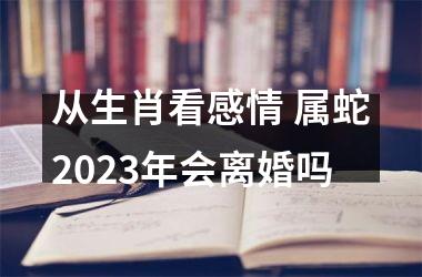 从生肖看感情 属蛇2025年会离婚吗