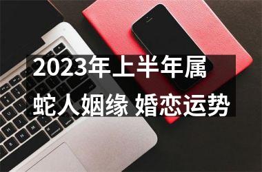 2025年上半年属蛇人姻缘 婚恋运势