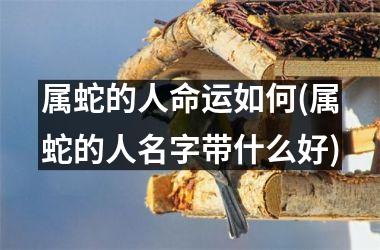 属蛇的人命运如何(属蛇的人名字带什么好)