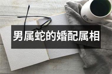 <h3>男属蛇的婚配属相
