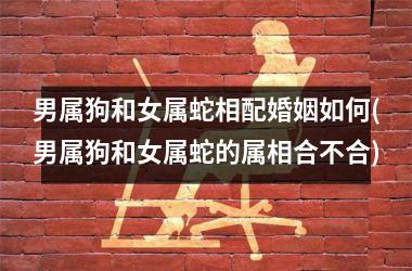 男属狗和女属蛇相配婚姻如何(男属狗和女属蛇的属相合不合)