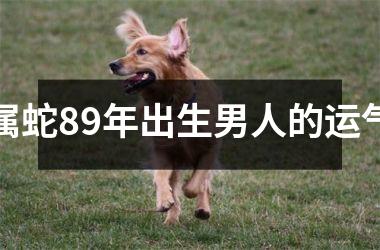 属蛇89年出生男人的运气