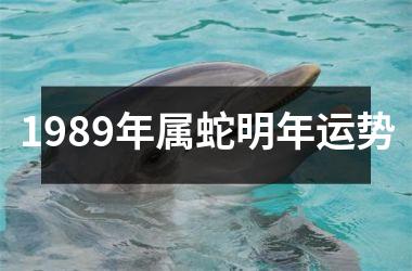 1989年属蛇明年运势