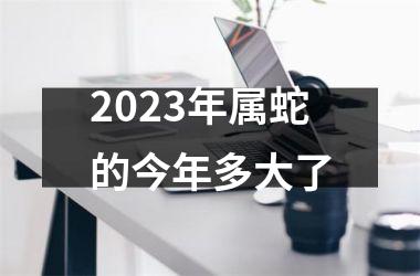 2025年属蛇的今年多大了