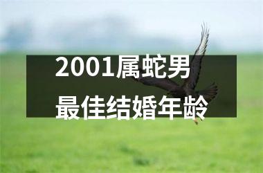 <h3>2001属蛇男佳结婚年龄