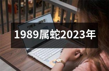 <h3>1989属蛇2025年