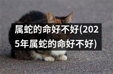 属蛇的命好不好(2025年属蛇的命好不好)