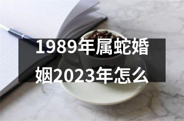 1989年属蛇婚姻2025年怎么