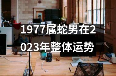 1977属蛇男在2025年整体运势