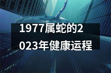 1977属蛇的2025年健康运程