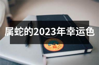 属蛇的2025年幸运色