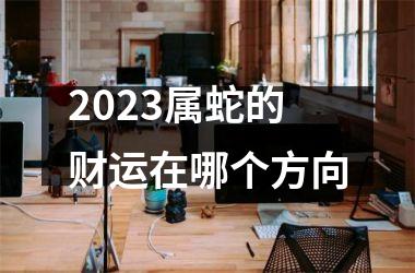 2025属蛇的财运在哪个方向
