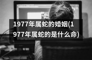 1977年属蛇的婚姻(1977年属蛇的是什么命)