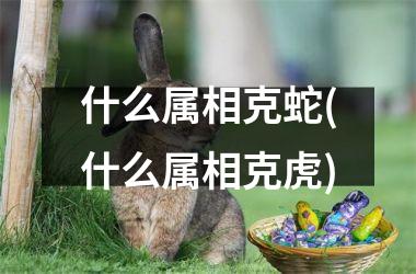 什么属相克蛇(什么属相克虎)