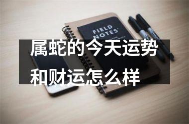 属蛇的今天运势和财运怎么样
