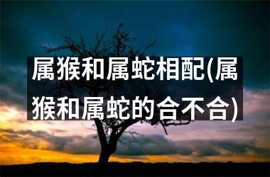 属猴和属蛇相配(属猴和属蛇的合不合)