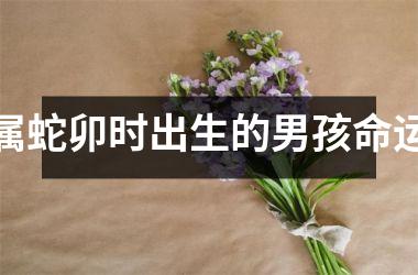 属蛇卯时出生的男孩命运