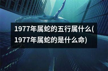 1977年属蛇的五行属什么(1977年属蛇的是什么命)