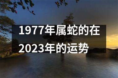 1977年属蛇的在2025年的运势