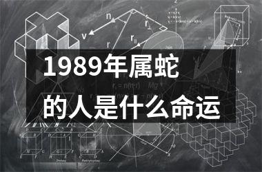 1989年属蛇的人是什么命运