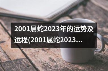 2001属蛇2025年的运势及运程(2001属蛇2025年运势及运程)