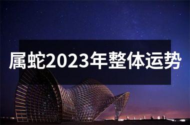 <h3>属蛇2025年整体运势
