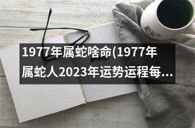 1977年属蛇啥命(1977年属蛇人2025年运势运程每月运程)