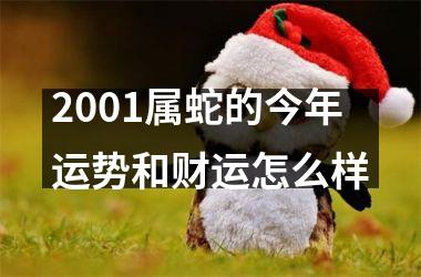 2001属蛇的今年运势和财运怎么样